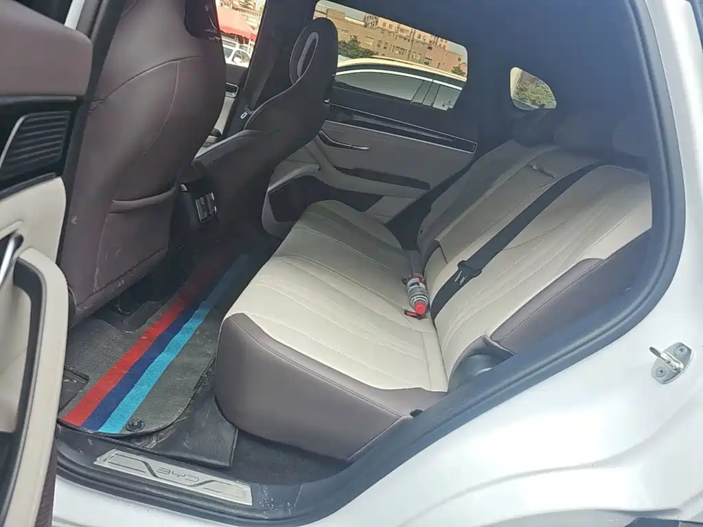 BYD Song PLUS New Energy 2025 — фото 17