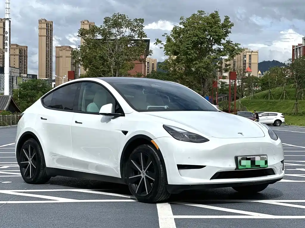 Tesla Model Y 2024 — фото 3