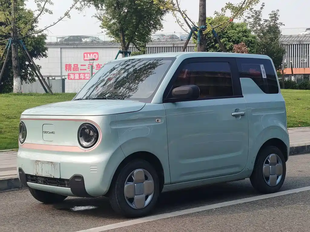 Geely Galaxy Panda 2024 — фото 1