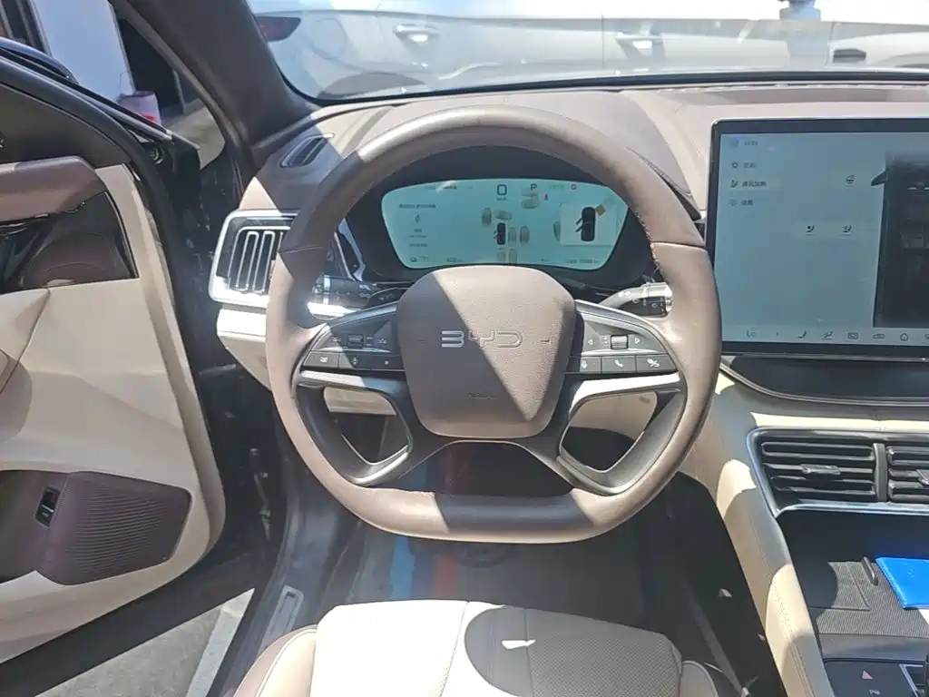 BYD Song PLUS New Energy 2025 — фото 11