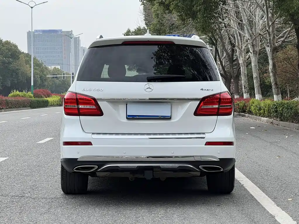 Mercedes-Benz GLS 2017 — фото 17
