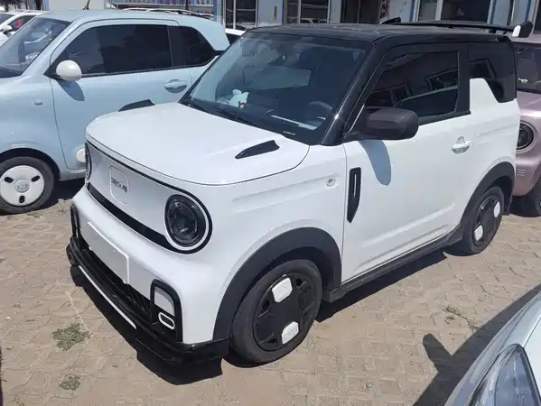 Geely Galaxy Panda 2024