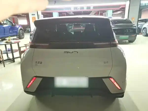 BYD Seagull 2024