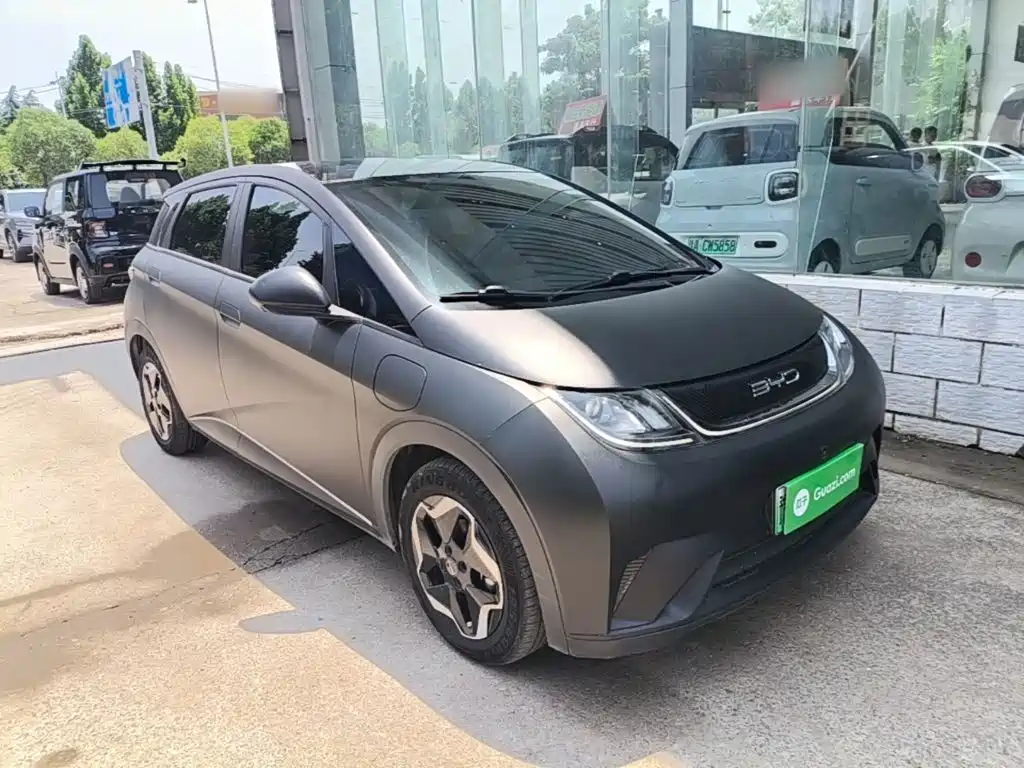 BYD Dolphin 2022