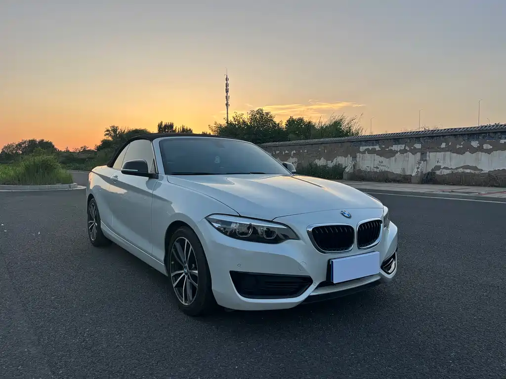 BMW 2 Series 2019 — фото 16