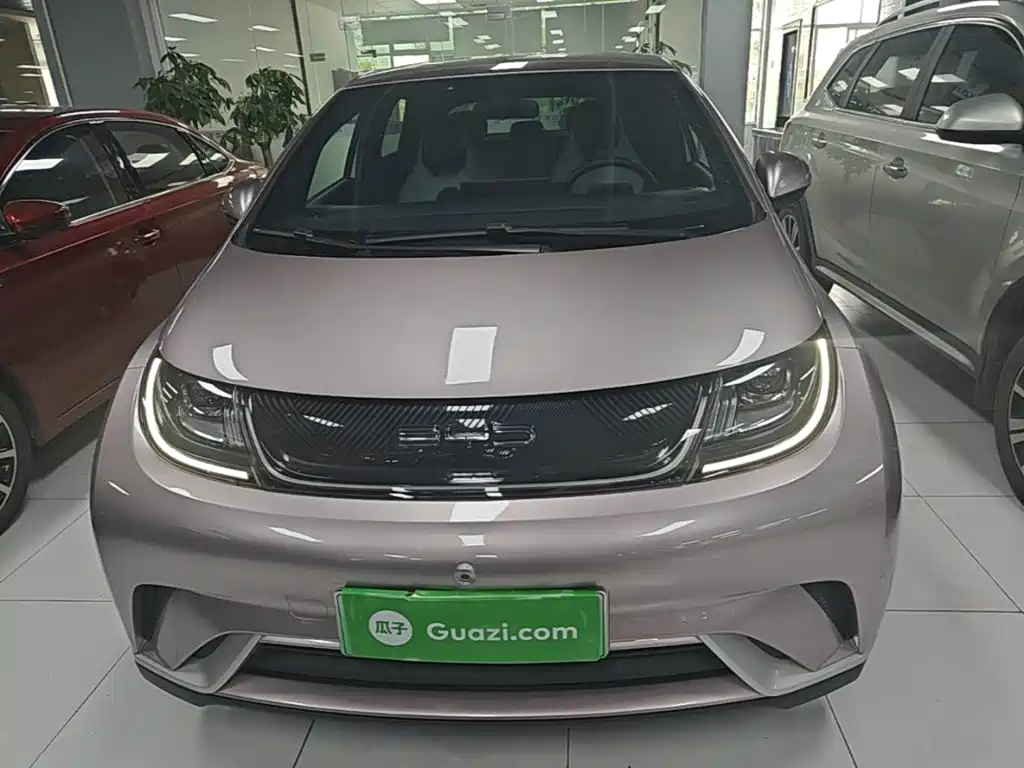 BYD Dolphin 2022