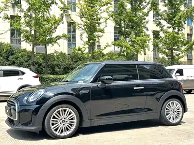 MINI MINI 2021