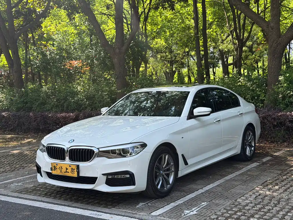 BMW 5 Series 2018 — фото 1