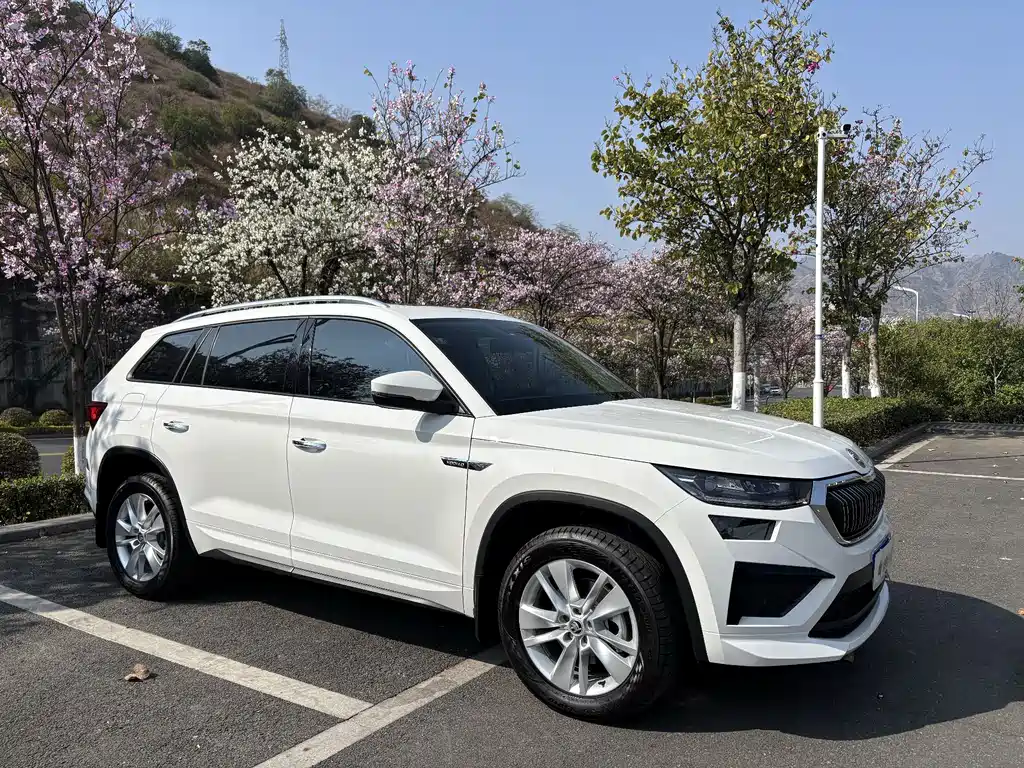 Skoda Kodiaq 2025 — фото 3