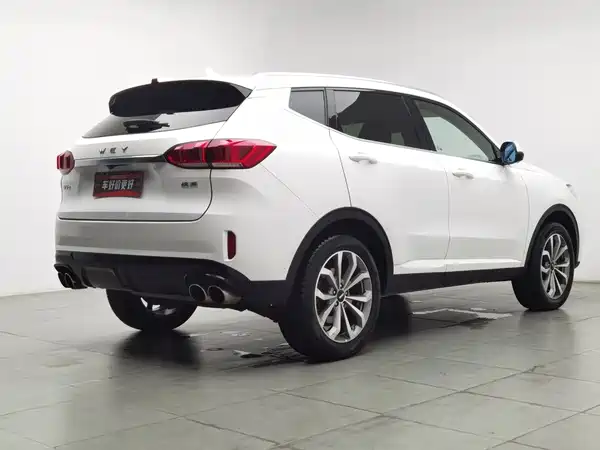 Wey VV6 2019