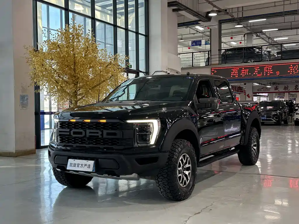 Ford F-150 Raptor 2023 — фото 1