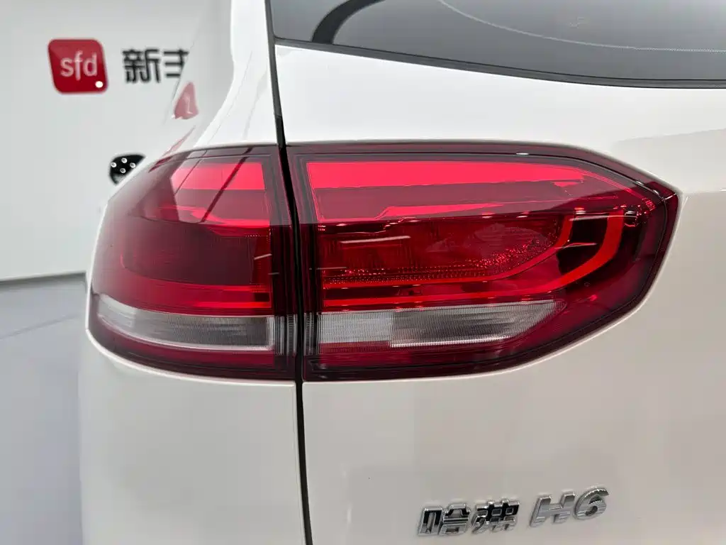 Haval H6 2021 — фото 27