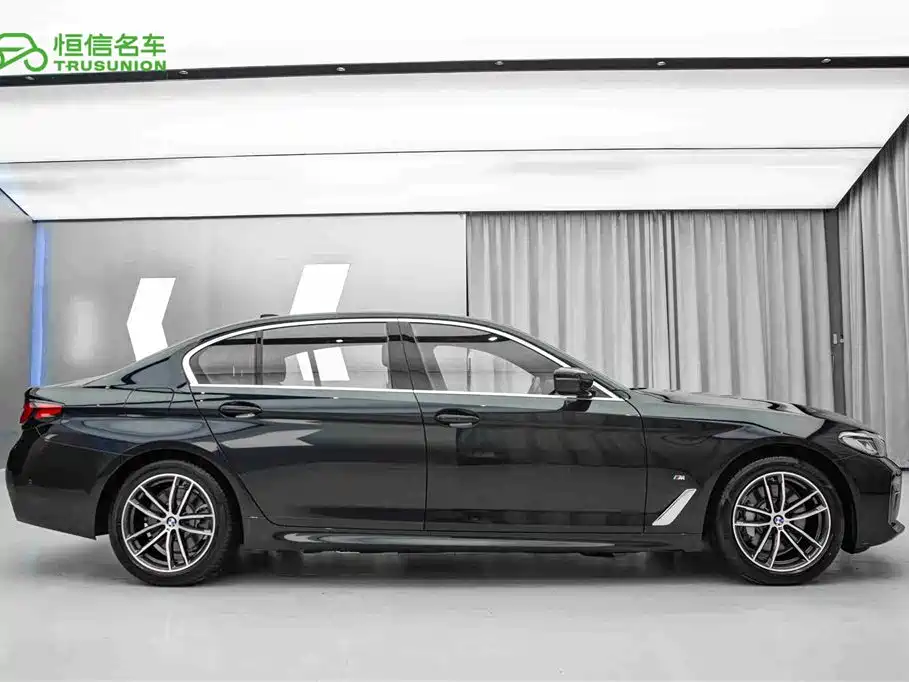 BMW 5 Series New Energy 2021