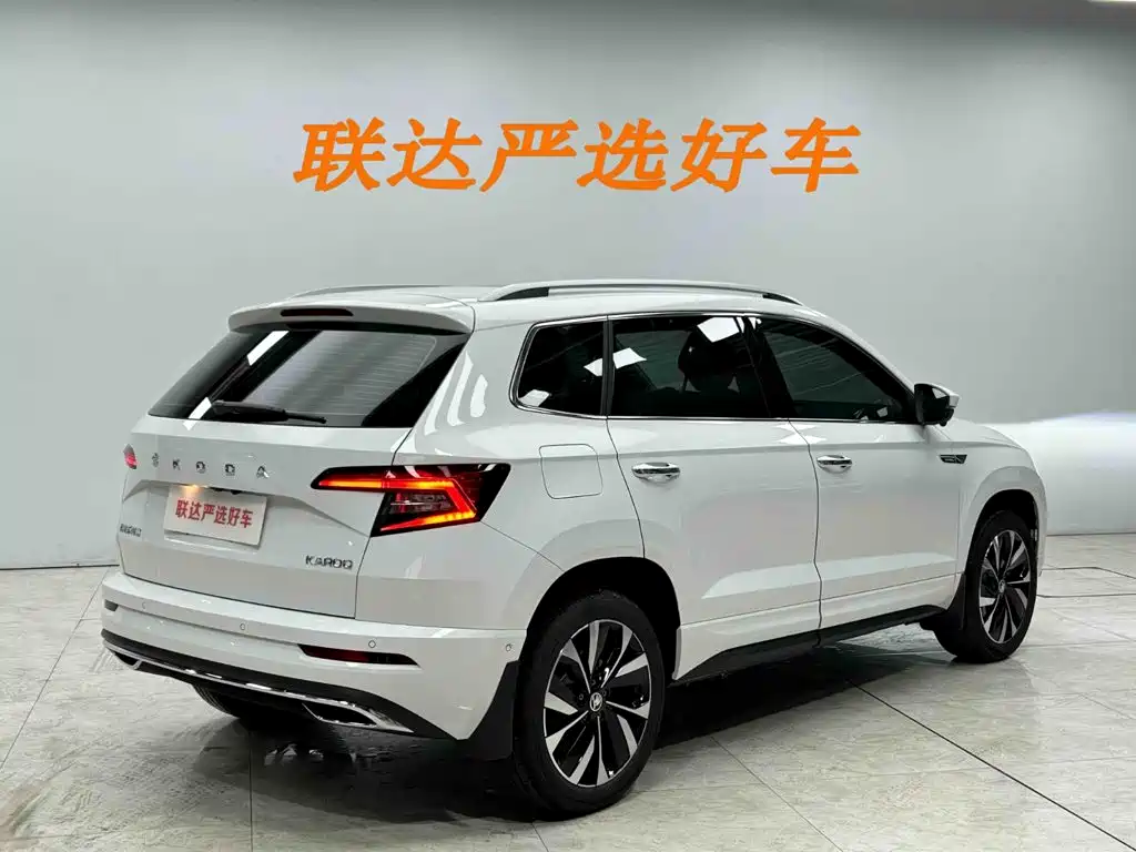 Skoda Karoq 2025 — фото 25