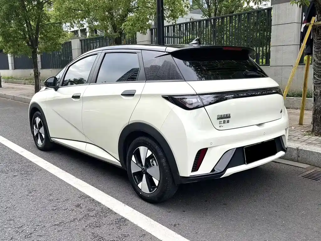 BYD Dolphin 2023