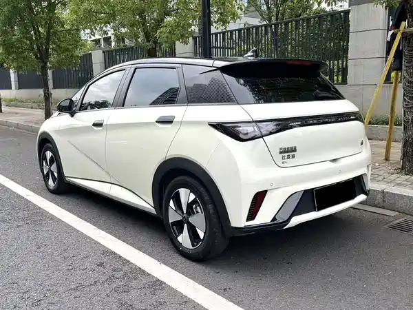 BYD Dolphin 2023