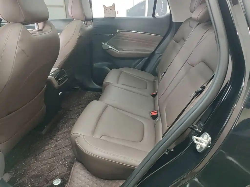 GAC Trumpchi GS4 2024 — фото 17