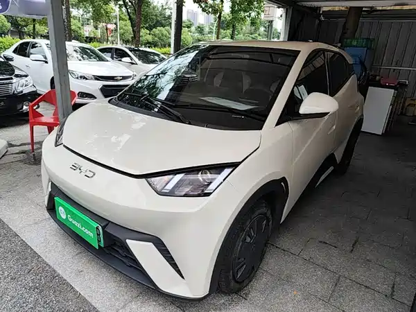 BYD Seagull 2024