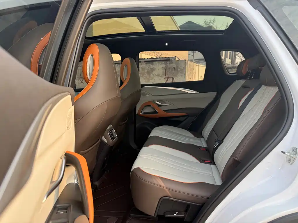 BYD Pro New Energy 2023 — фото 20