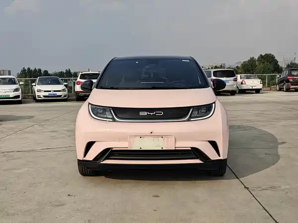 BYD Dolphin 2024