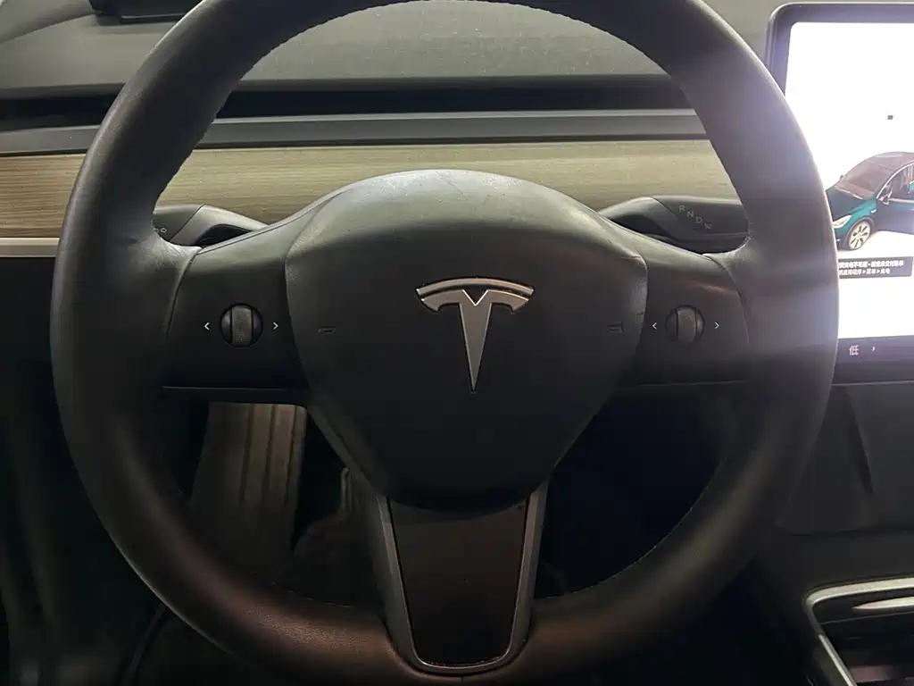 Tesla Model Y 2021 — фото 14