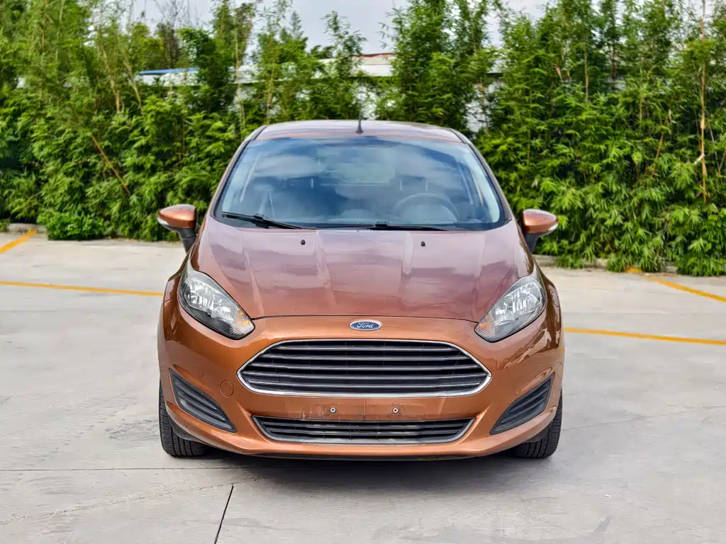 Ford Fiesta 2014 — фото 2