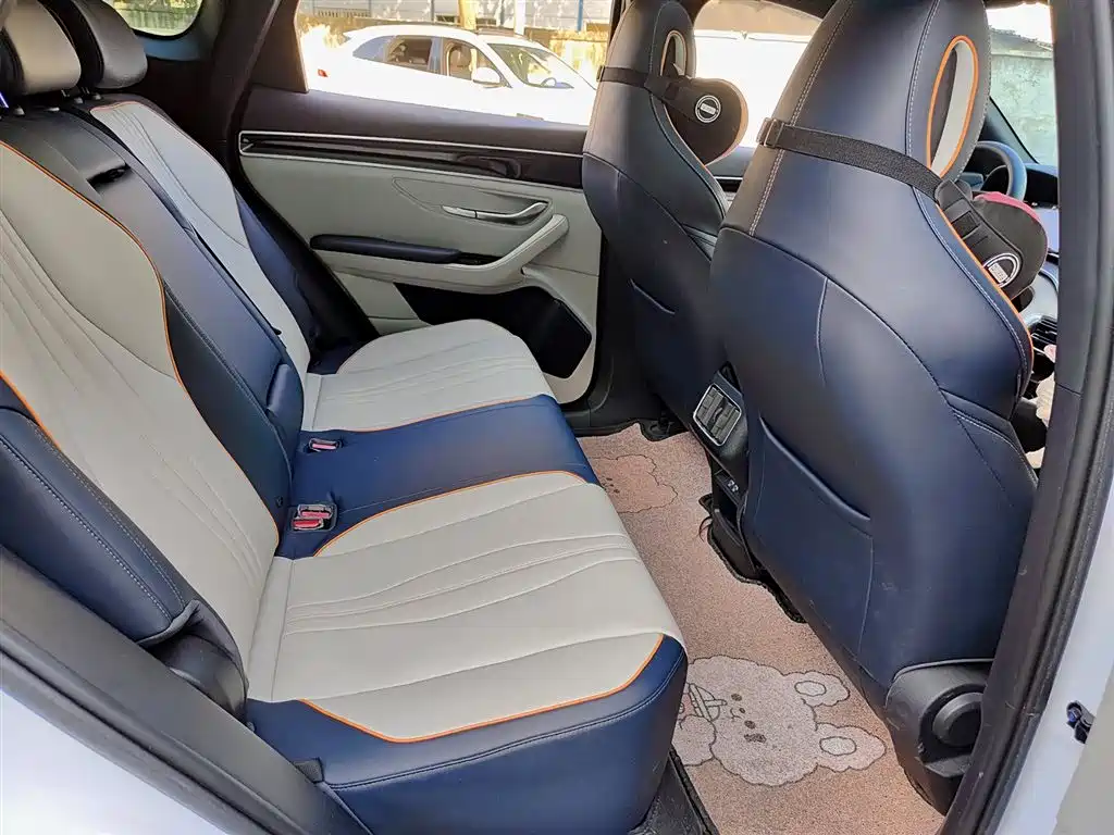 BYD PLUS New Energy 2023 — фото 11