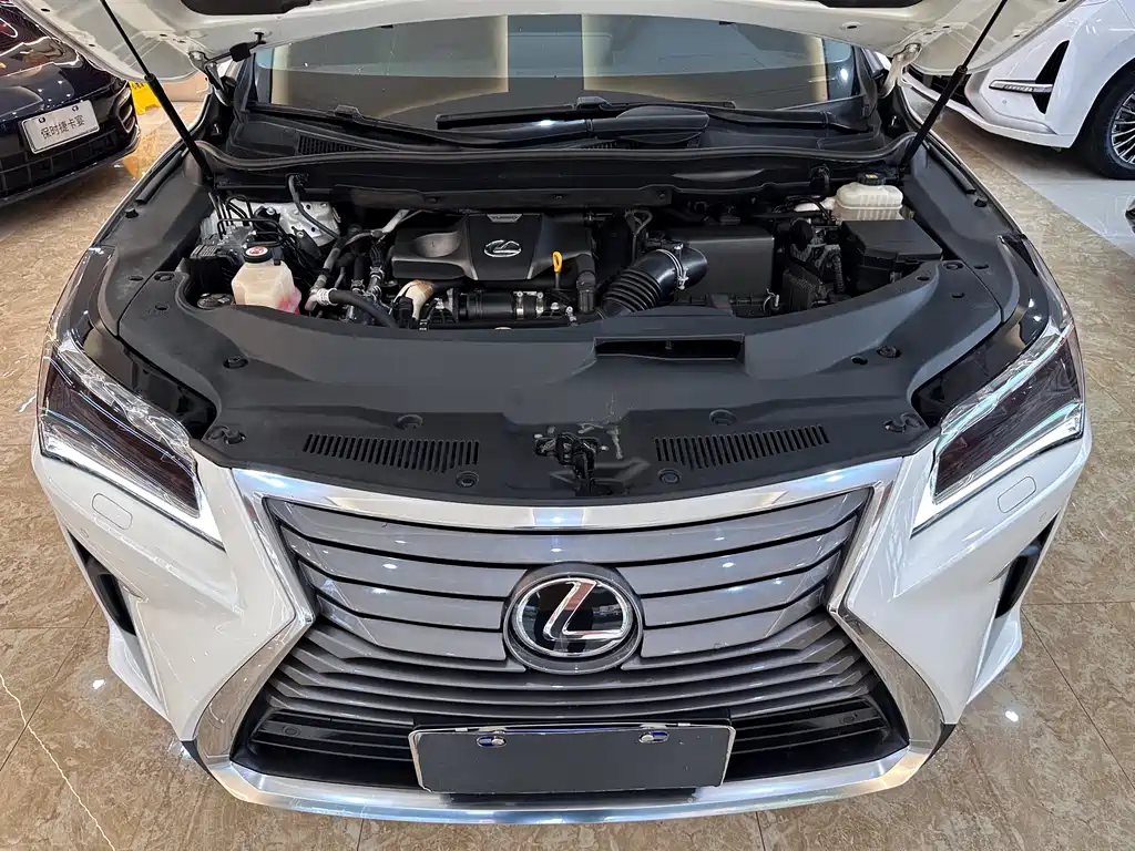 Lexus RX 2019 — фото 16