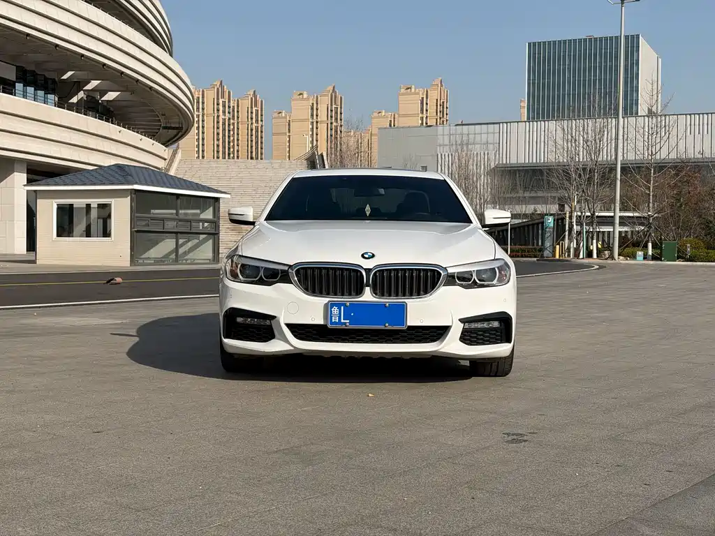 BMW 5 Series 2017 — фото 2