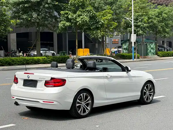 BMW 2 Series 2019