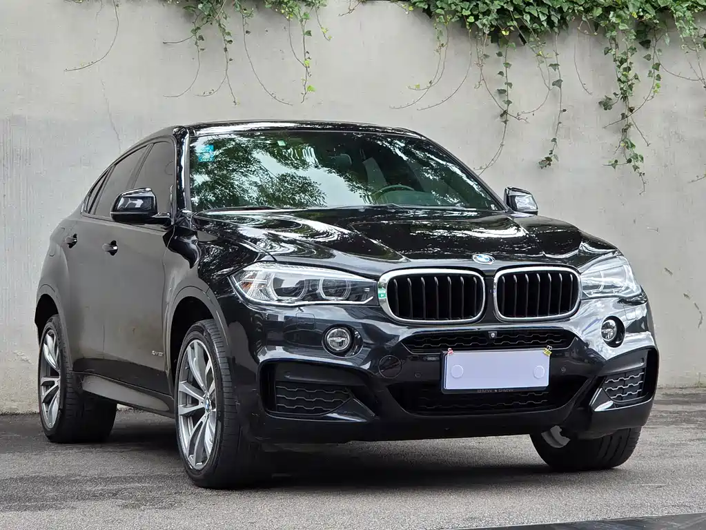 BMW X6 2018