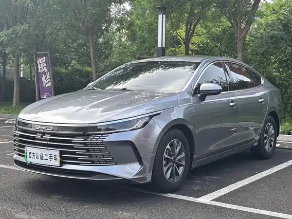 BYD Destroyer 05 2024