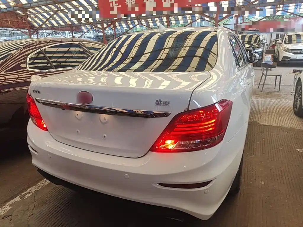 BYD Surui 2017