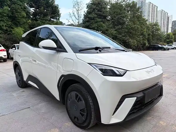 BYD Seagull 2024