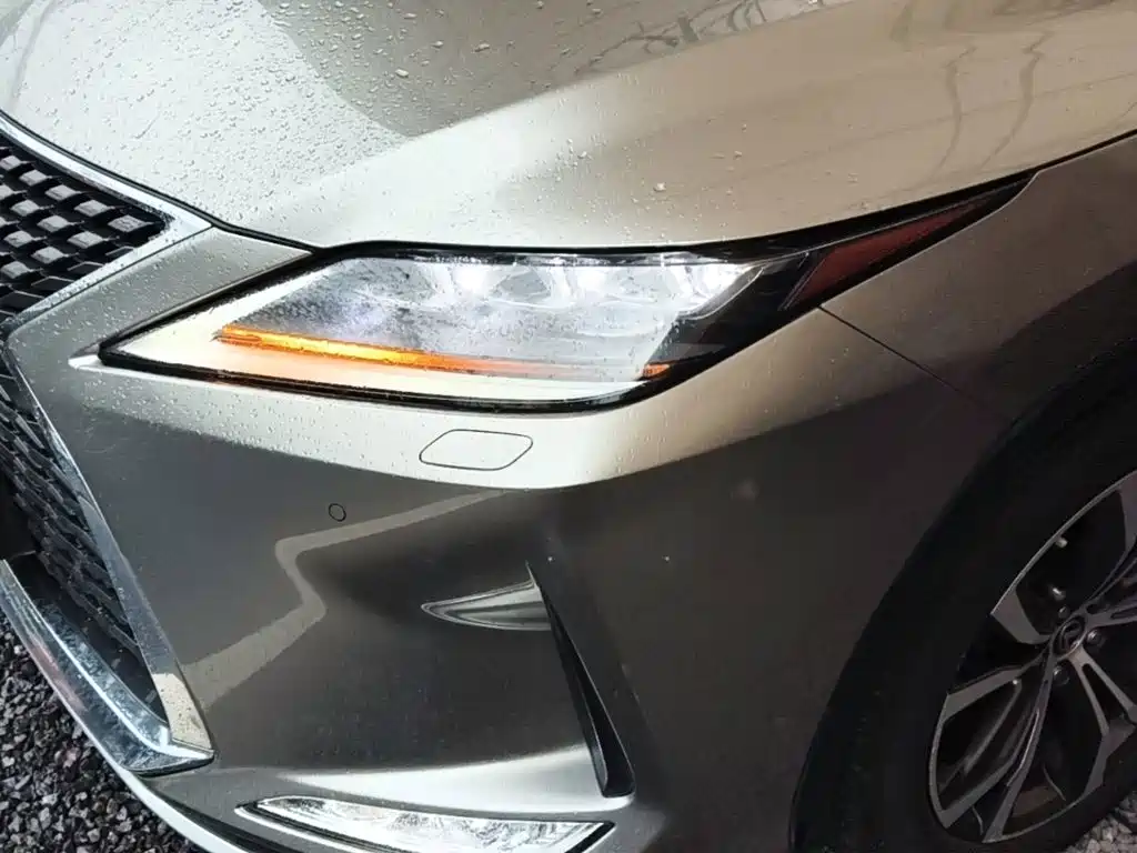 Lexus RX 2020 — фото 24