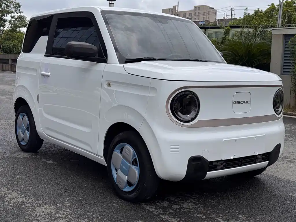 Geely Galaxy Panda 2023 — фото 3