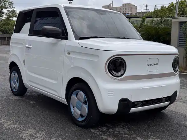 Geely Galaxy Panda 2023