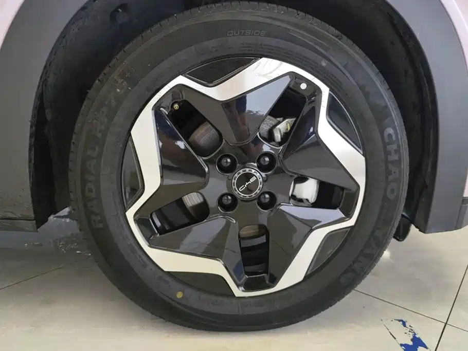 BYD Dolphin 2022