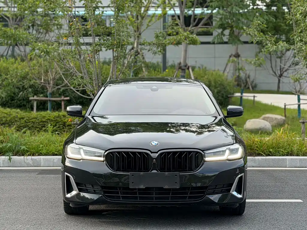 BMW 5 Series 2021