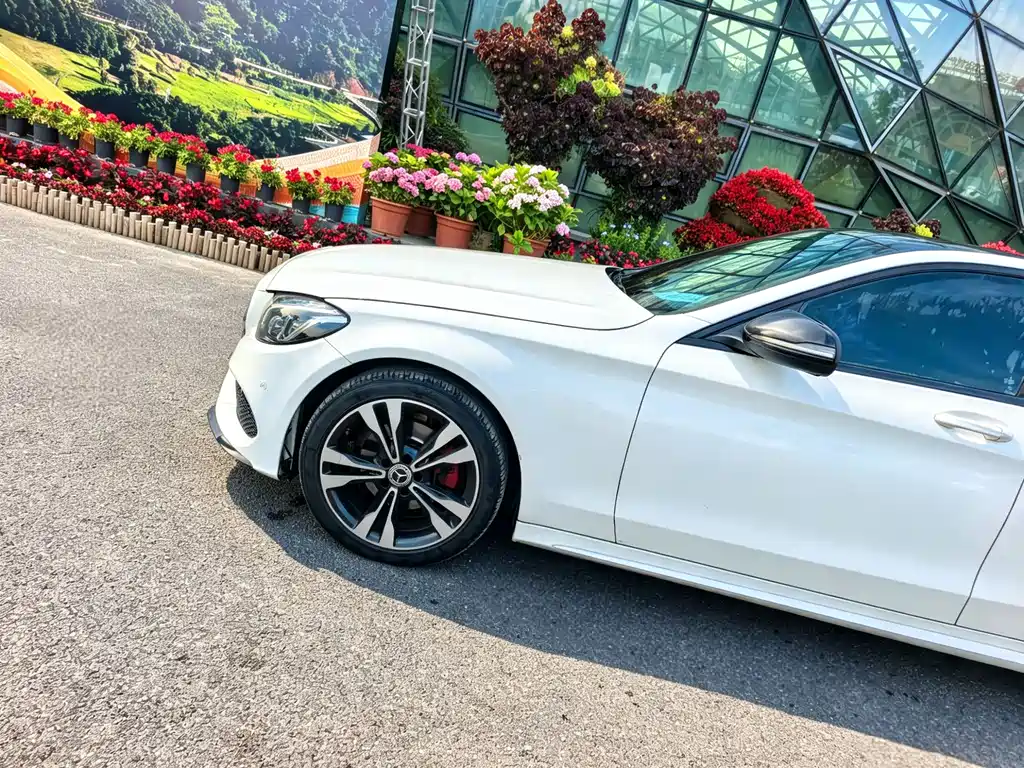 Mercedes-Benz C-Class 2015 — фото 15