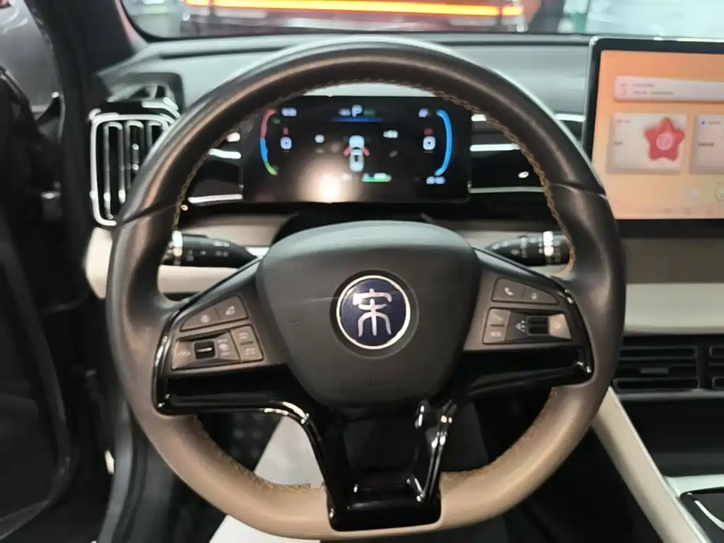 BYD Pro New Energy 2024 — фото 11