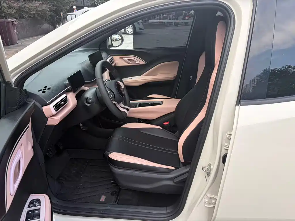 BYD Seagull 2024