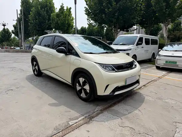 BYD Dolphin 2024