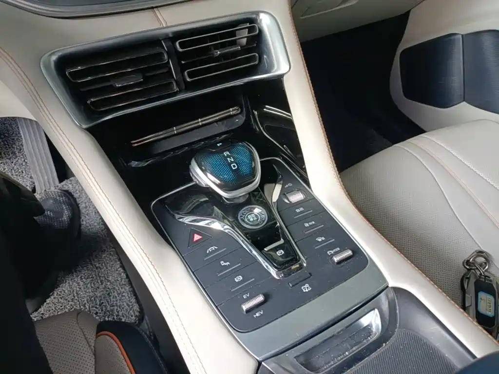 BYD PLUS New Energy 2023 — фото 14