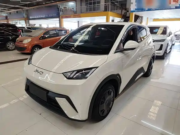 BYD Seagull 2024
