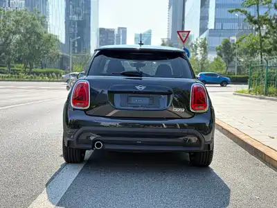 MINI MINI 2024
