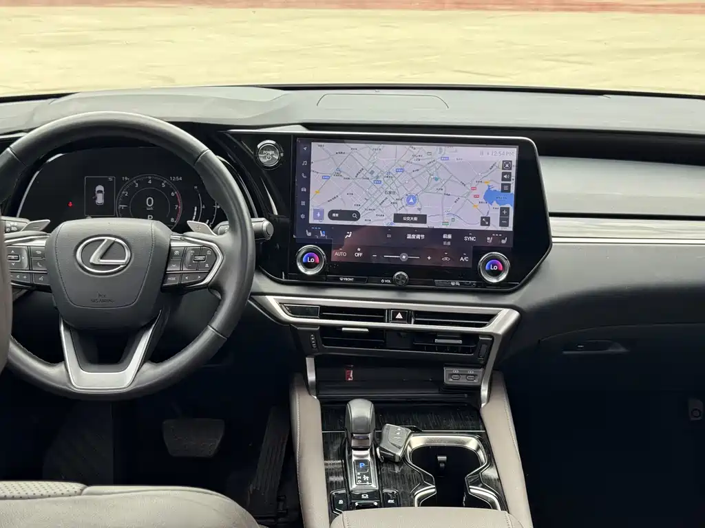 Lexus RX 2024 — фото 14