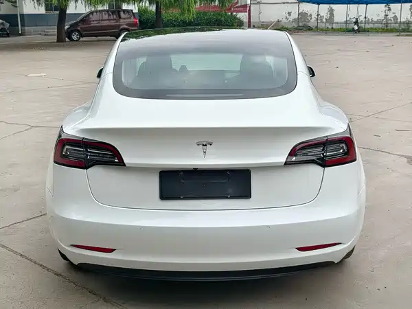 Tesla Model 3 2019