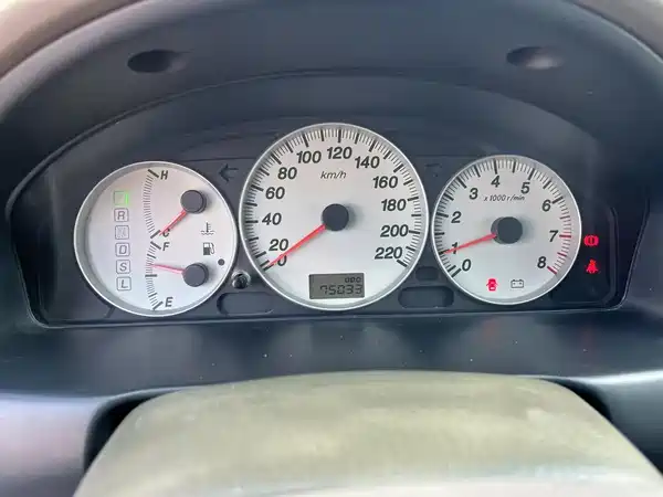 Haima Vanda Electric 2006