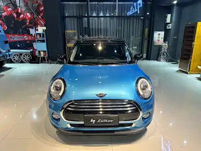 MINI MINI 2018